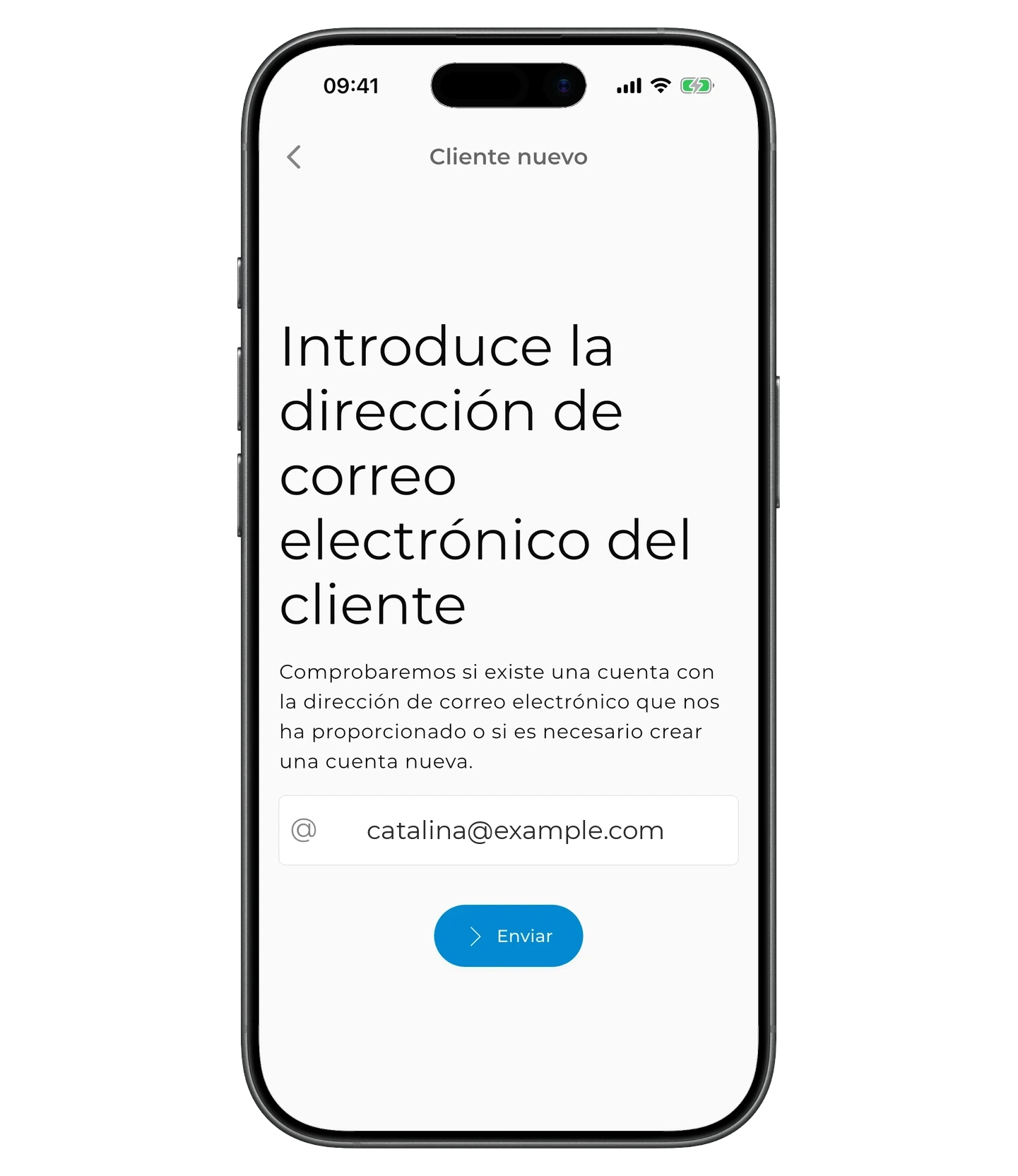Correo electrónico introducido