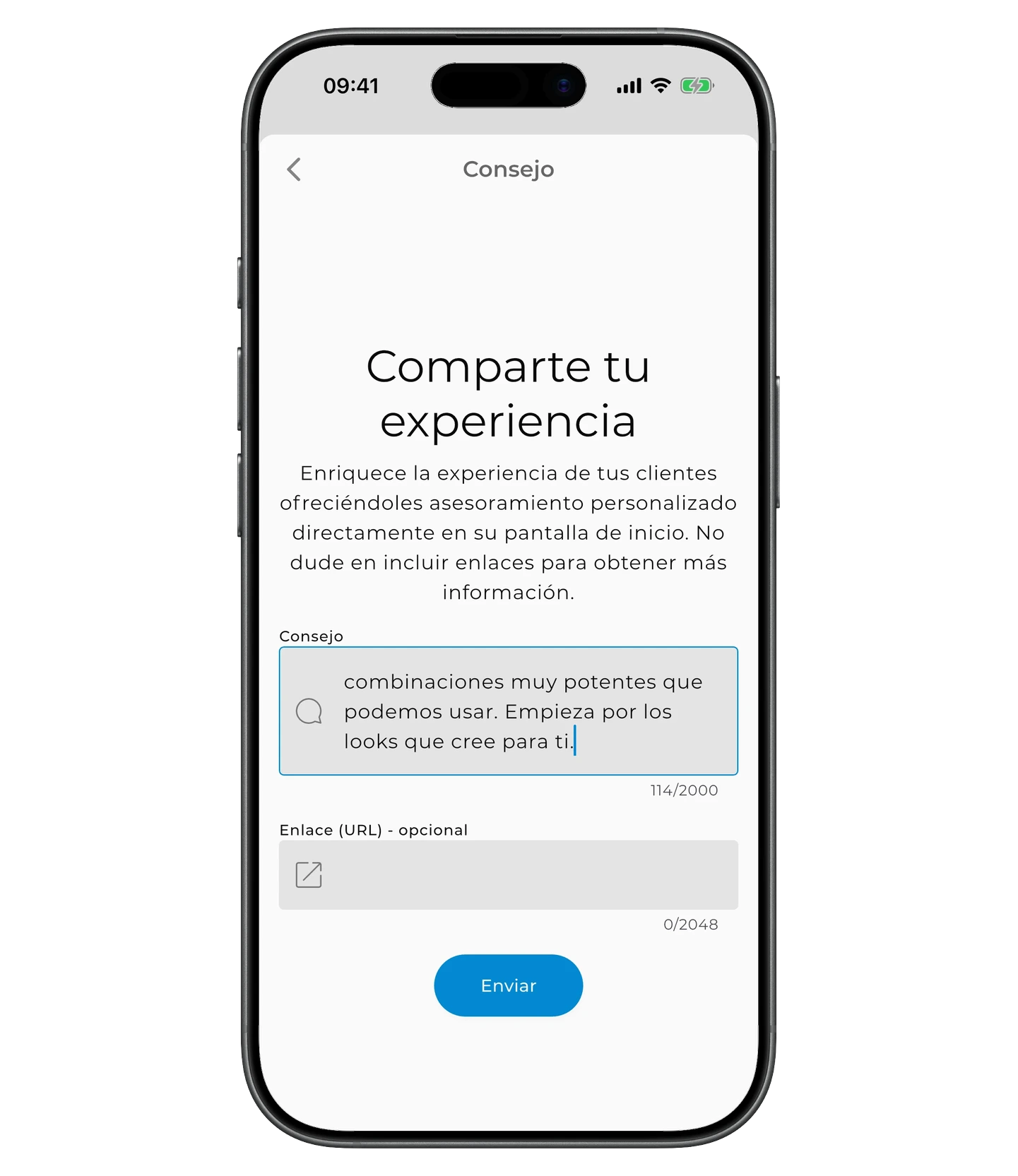 Formulario de nuevo consejo